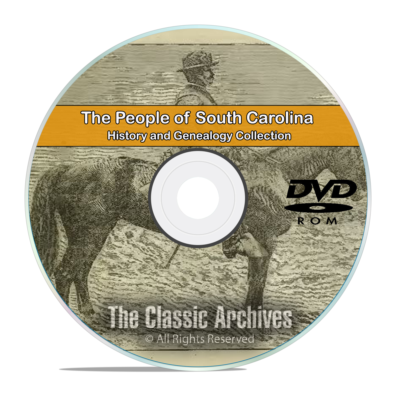 South Carolina SC, People Cities Towns, History & Genealogy 207 Books DVD